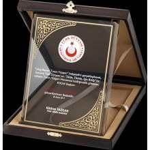 BM 2011 Altın Yaldız Kristal Plaket BM 2011 Altın Yaldız Kristal Plaket